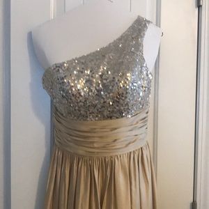 Gold with silver accent ball dress